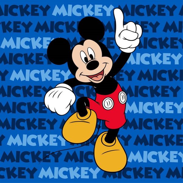 Λαβέτα Νηπιαγωγείου Disney Home Mickey 50 30X30 100% Polyester